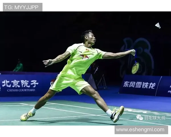 南京羽毛球队精英赛个人能力分析与表现评估